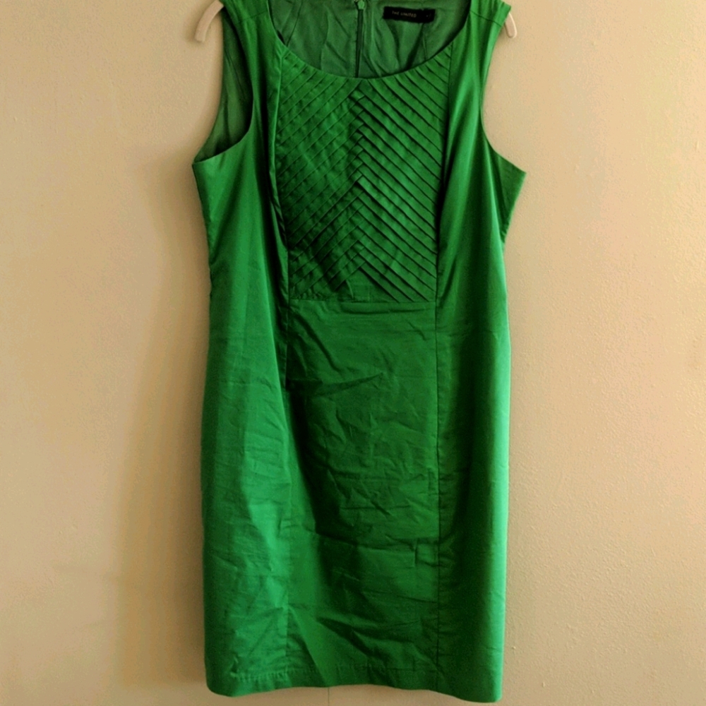 The Limited Green Spring Dress